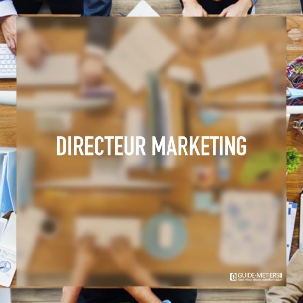 Directeur Marketing Métier formation salaires Guide metiers ma