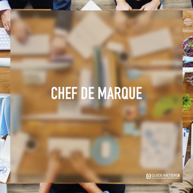 Chef de marque  Métier, formation, salaires, Guidemetiers.ma