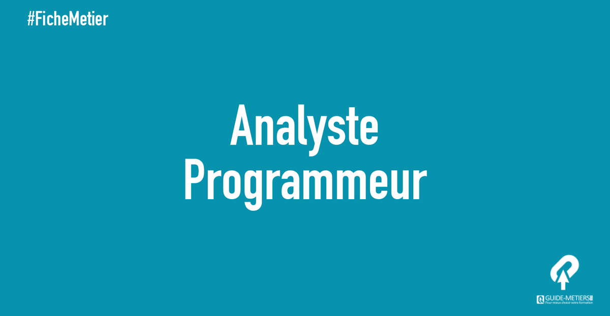 Analyste Programmeur Métier Formation Guide Metiersma