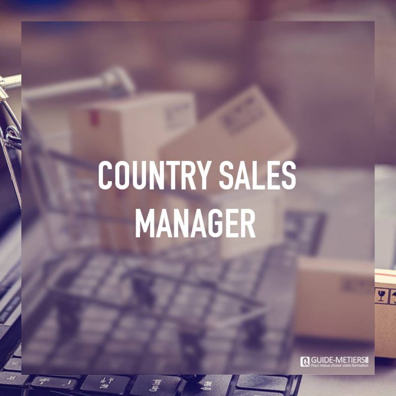 country-sales-manager-m-tier-formation-salaires-guide-metiers-ma