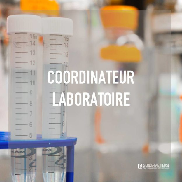 Coordinateur Laboratoire Metier Formation Salaires Guide Metiers Ma