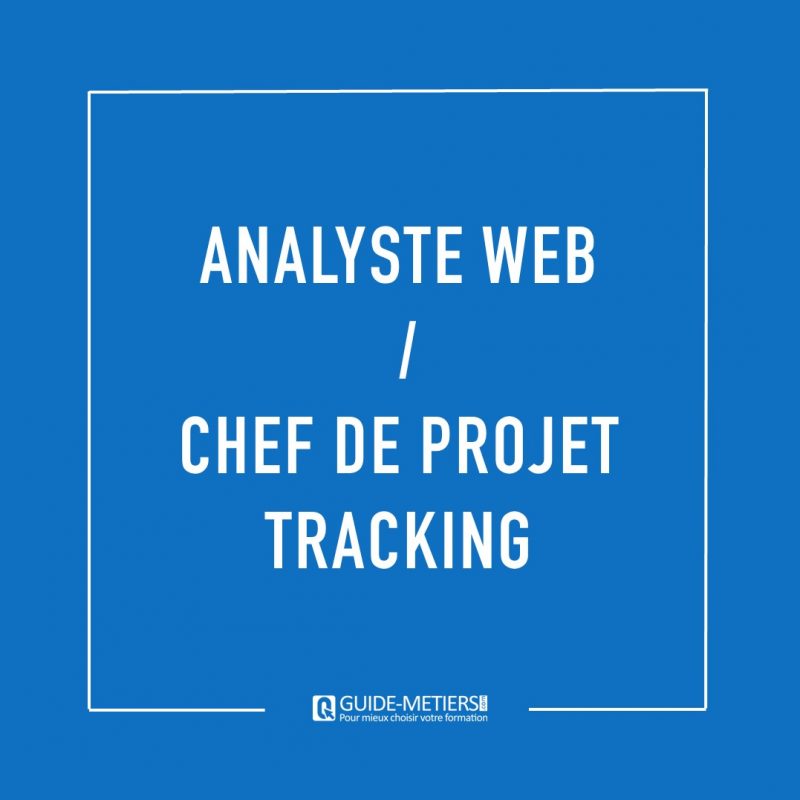 Analyste Web / Chef de Projet Tracking  Métier, formation, salaires...