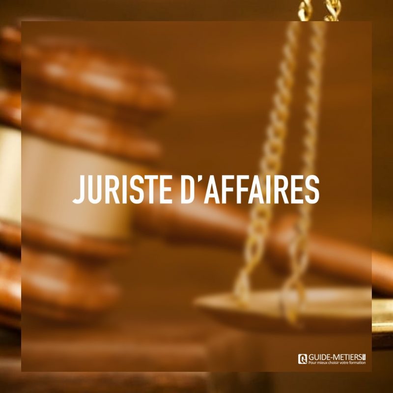 Juriste Daffaires Métier Formation Salaires Guide Metiers Ma